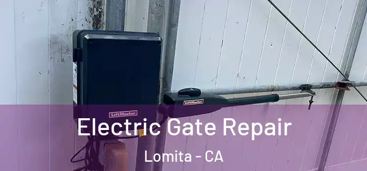 Electric Gate Repair Lomita - CA