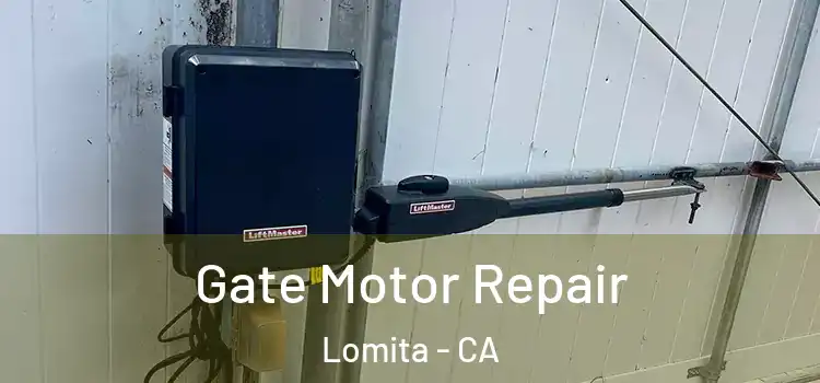 Gate Motor Repair Lomita - CA